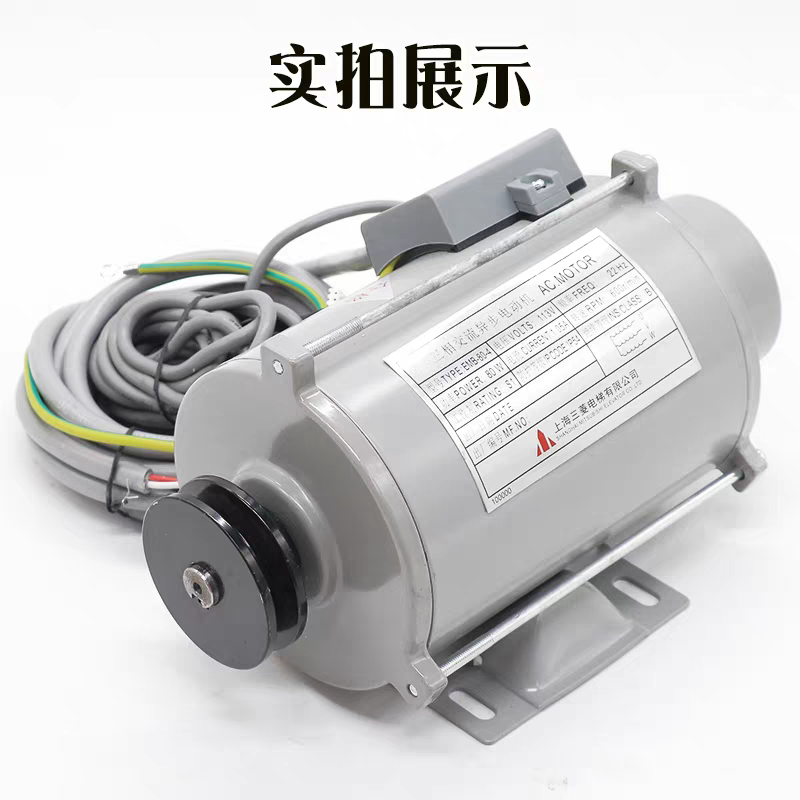 SE-JR ERB-8--4 elevator door motor side view