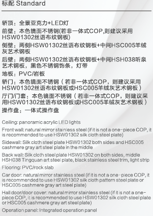 Home Elevator SKY06 Standard Specifications - Silk Cloth Pattern Steel Plate Interior