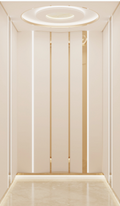 Home Elevator SKY12 Interior - Painted White Steel with Champagne Gold Trim and Snow White Leather Pattern Art Steel