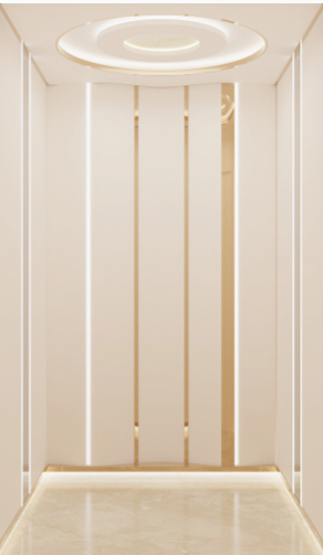 Home Elevator SKY12 Interior - Painted White Steel with Champagne Gold Trim and Snow White Leather Pattern Art Steel