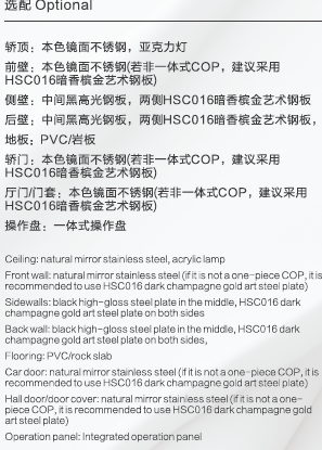 Home Elevator SKY08 Standard Specifications - Dark Champagne Gold Art Steel Interior