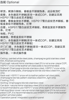 Home Elevator SKY12 Standard Specifications - HSP017 Snow White Leather Pattern with Champagne Gold Stainless Steel