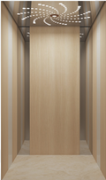 Home Elevator SKY02 Interior View - Wood Grain Panels with LED Ceiling Lighting