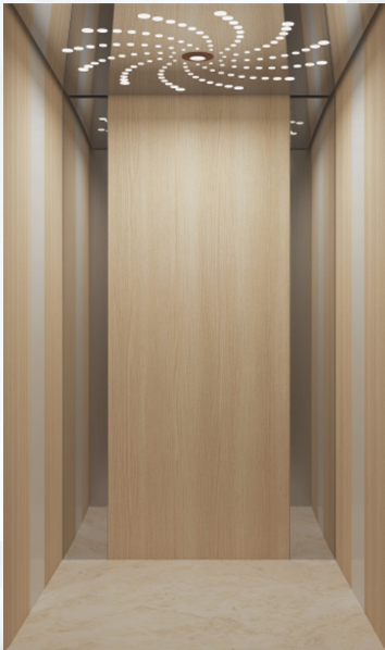 Home Elevator SKY02 Interior View - Wood Grain Panels with LED Ceiling Lighting