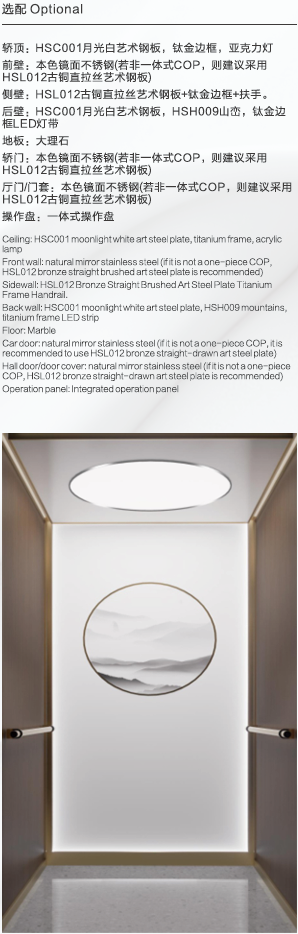 Home Elevator SKY11 Standard Specifications - Moonlight White Round Ceiling with Bronze Brushed and Mountain Ink Art Steel
