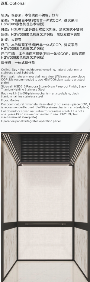 Home Elevator SKY09 Standard Specifications - Spy Theme Pandora Stone Grain with Purple Mechanism Art Steel